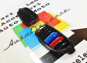 CALANDRA 3 COLORI GRIGLIA ANTERIORE