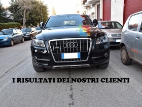 GRIGLIE FENDINEBBIA SQ5 RSQ5 A NIDO