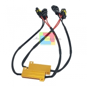 RESISTENZE FENDINEBBIA H11 CANBUS N