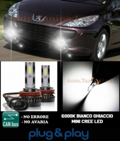 PEUGEOT 307 LAMPADE FENDINEBBIA LED