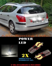 COPPIA LUCI TARGA PEUGEOT 407 04-09