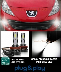 PEUGEOT 207 LAMPADE FENDINEBBIA LED